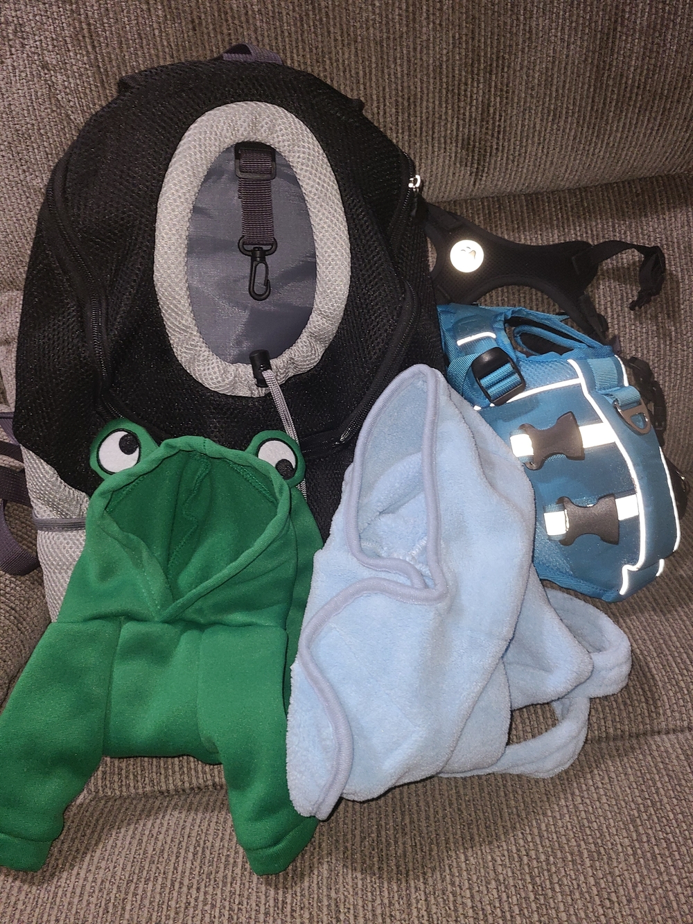 X-small Dog Items